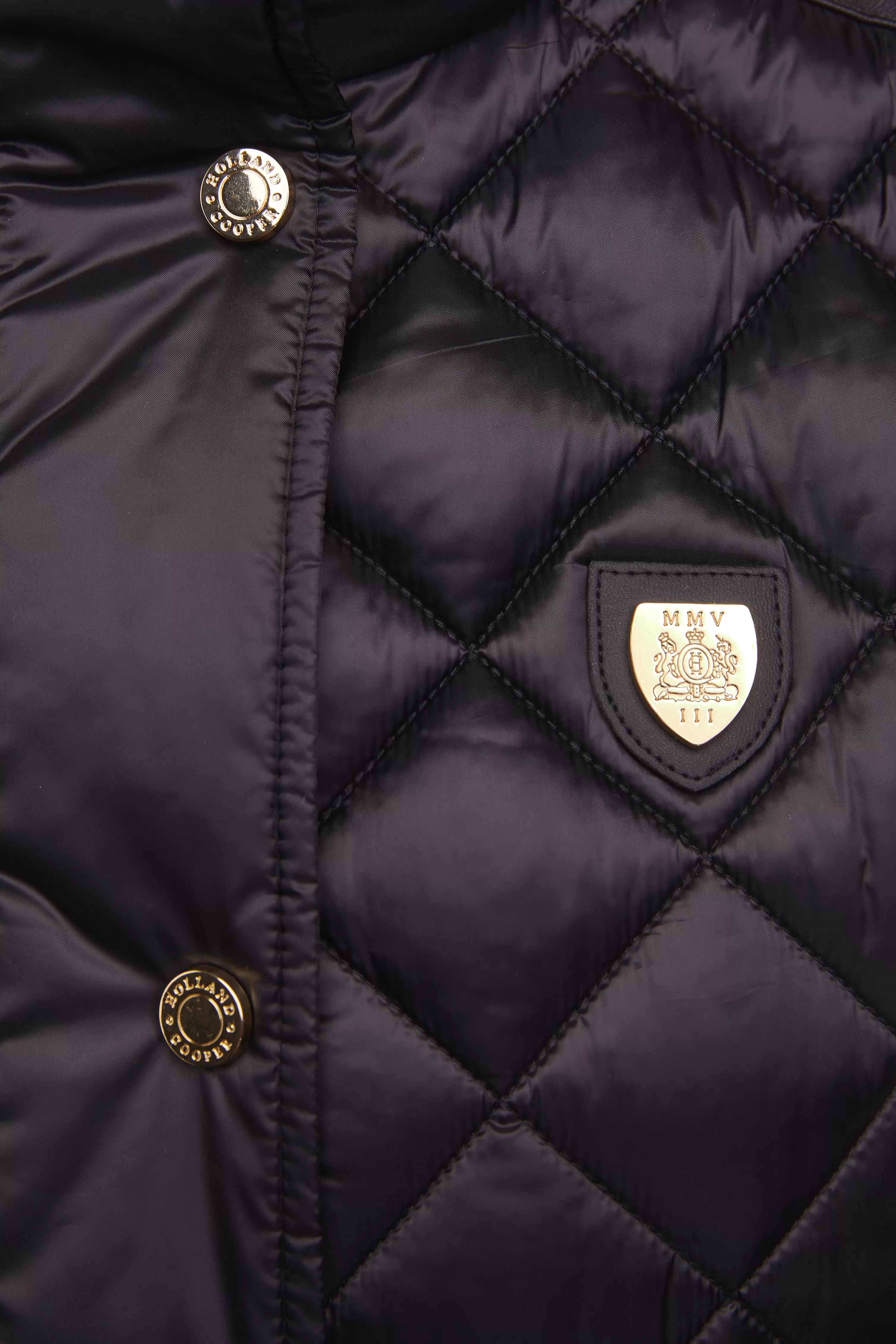 Charlbury Quilted Gilet (Black)