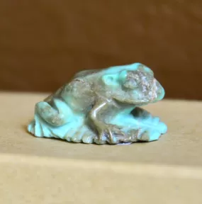 Peacock Turquoise Frog